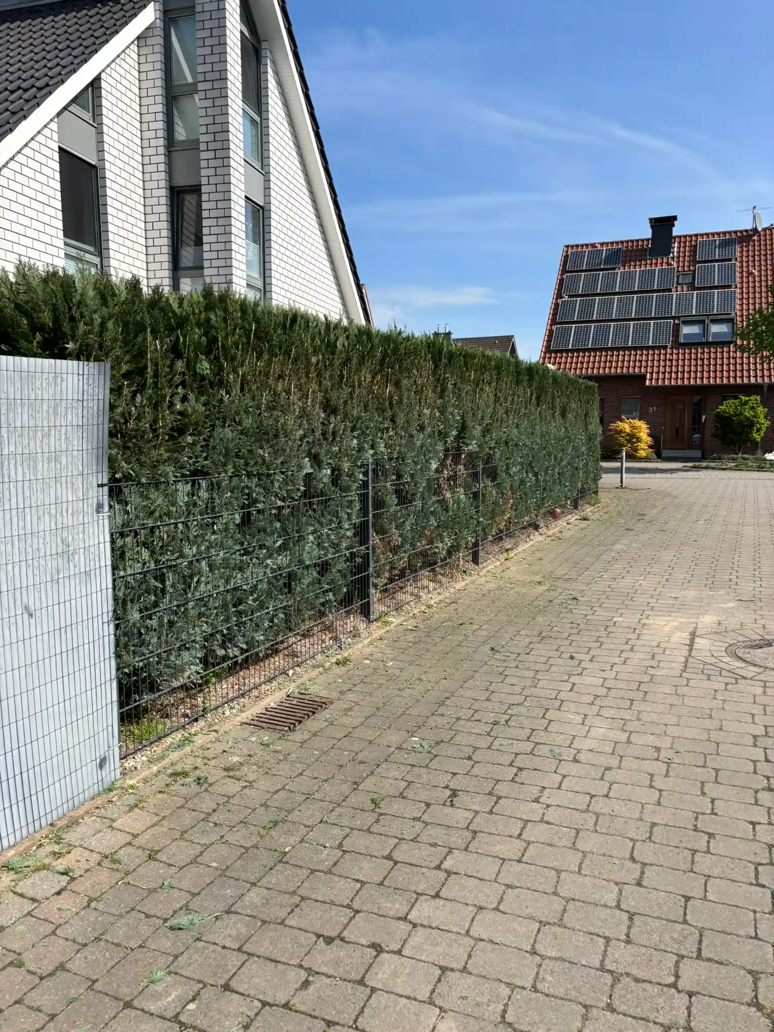 Hecke nachher